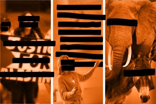 A photo illustration consisting of images of a pro-Palestine protester, an instructor and an elephant and donkey with black bars over their faces and over written words.