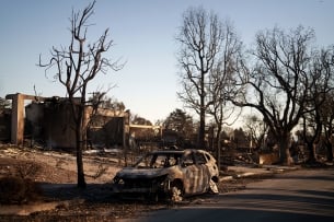 Burned car and neighborhood
