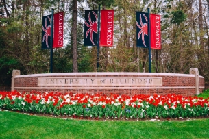 A sign outside the University of Richmond campus has many red and white tulips in front of it, with three banners featuring the campus mascot, a spider, behind it.